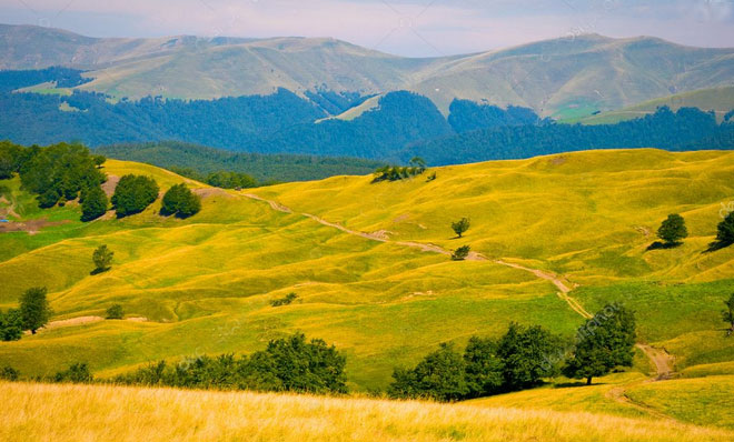 Украина Общество 2020 